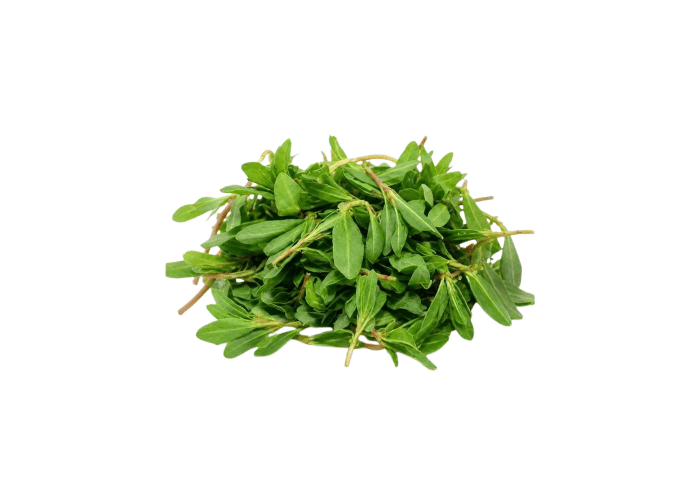 Madımak Otu (500gr)