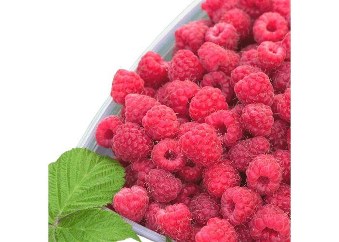 Datça Murat Çiftliği Taze Ahududu (100gr)
