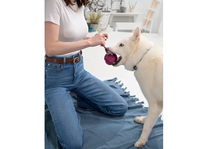 Köpek Örgü Top (Original tenis toplu, 9,5cm) - Holidog