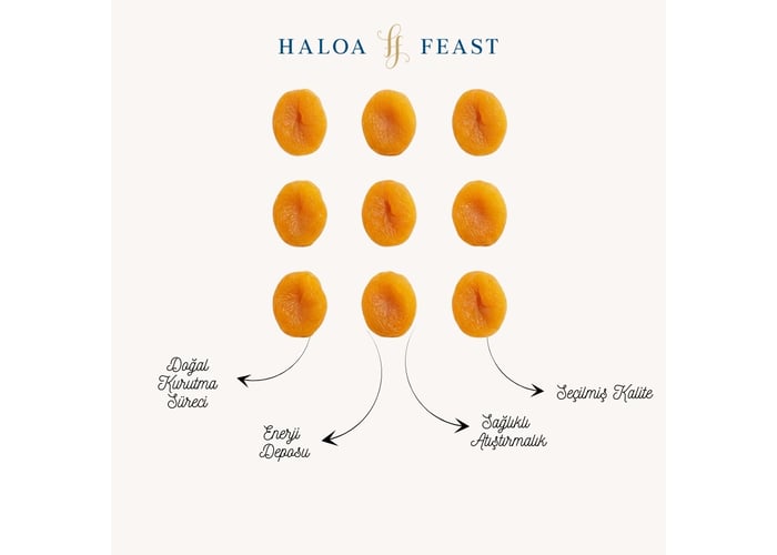 Kuru Sarı Kayısı (250gr) - HALOA FEAST