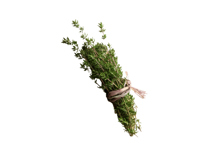 Taze Kekik (1 demet) - Memleket Gurmesi