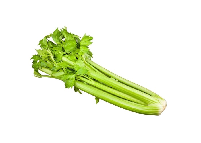 Organik Kereviz Sapı (Bağ, 1 -1,3kg)