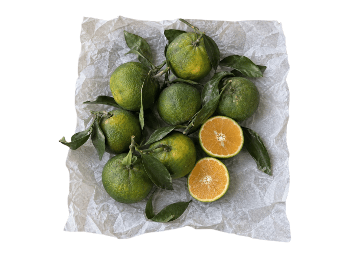 Organik Erkenci Mandalina (1kg) - Köken Organik