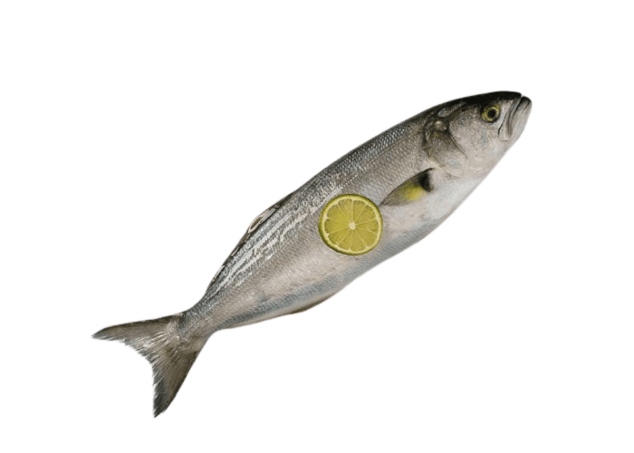 Lüfer (300-400gr, Temizlenmiş Hali Daha Düşük Ağırlıktadır) - Balık Ye