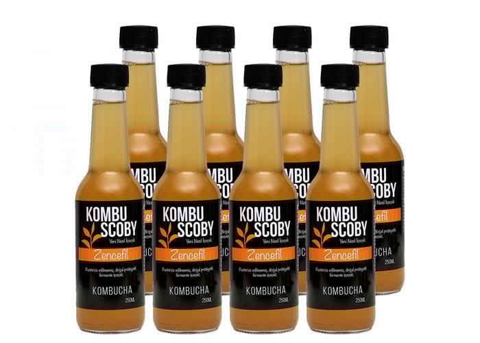 Zencefilli Kombu Çayı (8 adet x 250ml) - KombuScoby