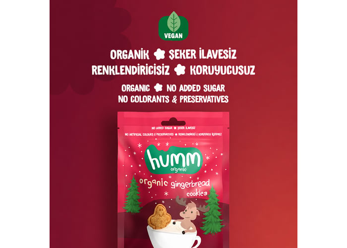 Organik Zencefilli Tarçınlı Kurabiye (Vegan, 55gr) - Humm