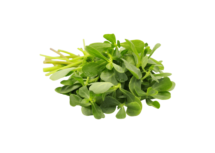 Semiz Otu (1 demet) - Memleket Gurmesi