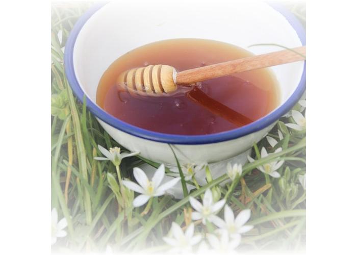 Çam Balı (850gr) - Elif Candar