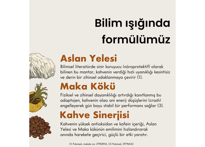 Fonksiyonel Mantar Takviyeli Arabica Çözünebilir Kahve (60 porsiyon, 150gr) - Mago Matcha