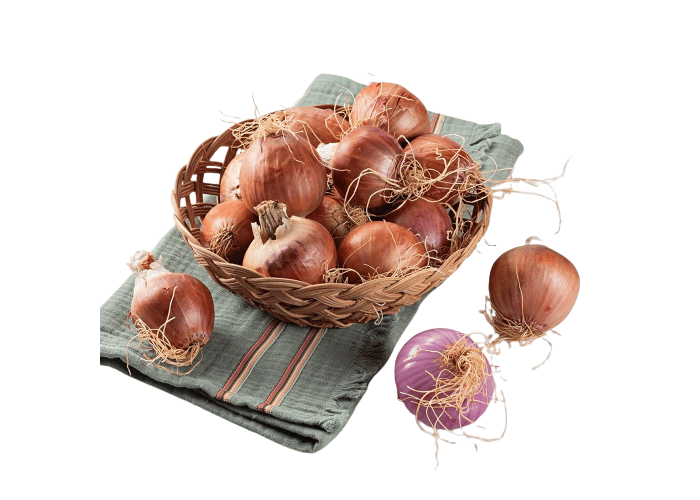 Organik Karacabey Soğanı (500gr)