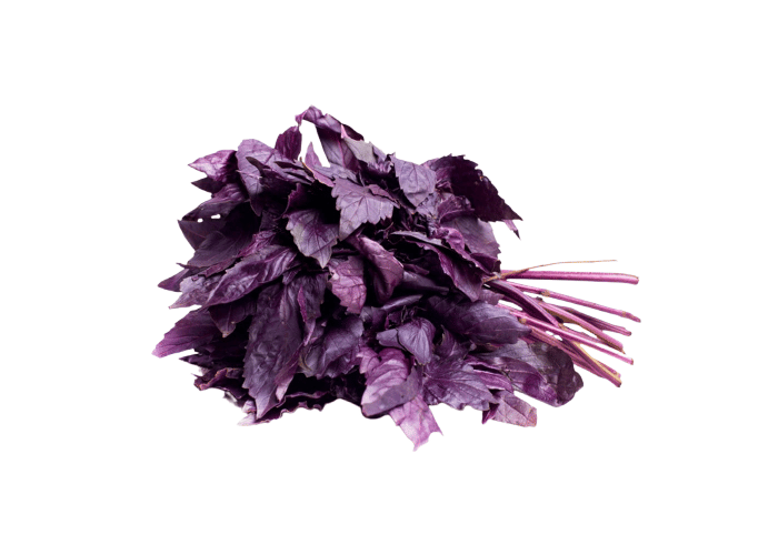 Taze Reyhan (1 demet) - Memleket Gurmesi