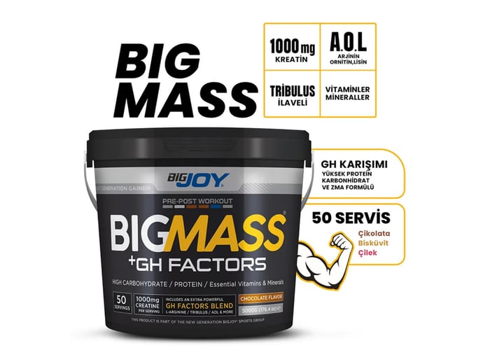 Sports Bigmass Gainer Gh Factors Çikolata (5000gr) - Bigjoy