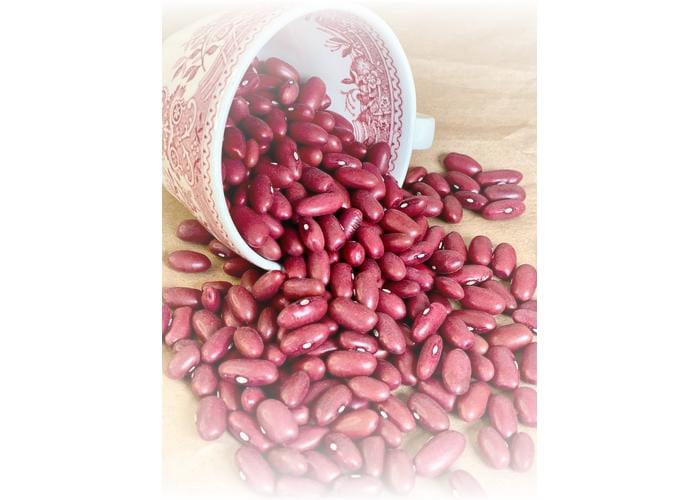 Meksika Fasulyesi (500gr) - Elif Candar