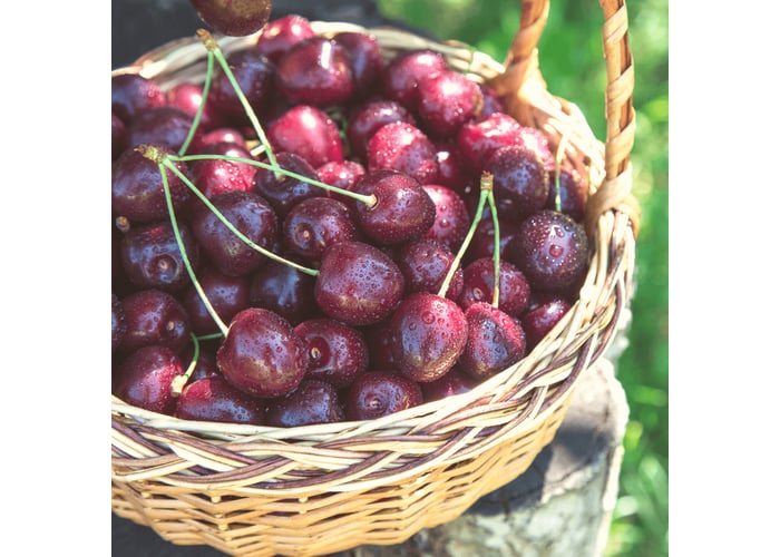 Yerli Kiraz (500gr)