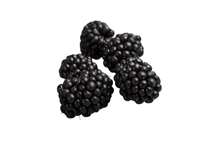 Taze Böğürtlen (125gr) - Verita