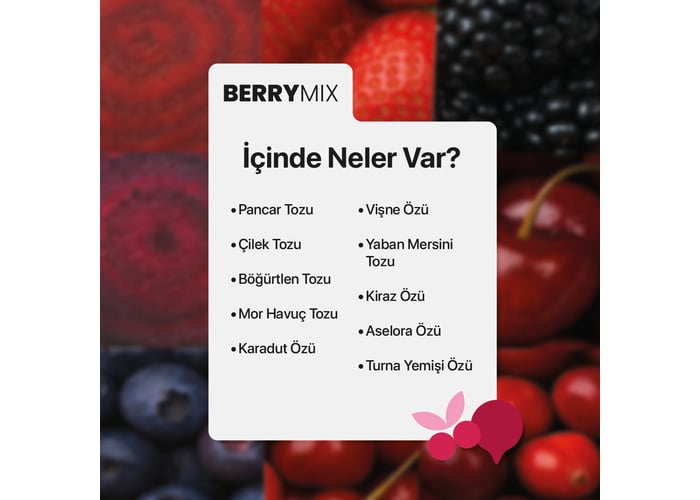 Berry Mix Orman Meyveli Toz Karışım (100gr) - Nustil