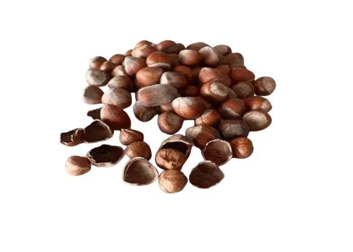 Giresun Kabuklu Yağlı Fındık (1kg) - Nebyan Doğal