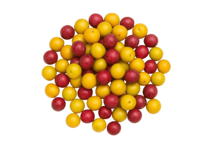 Kompostoluk Erik (500gr)