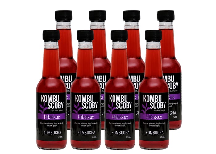 Hibiskuslu Kombu Çayı (8 adet x 250ml) - KombuScoby
