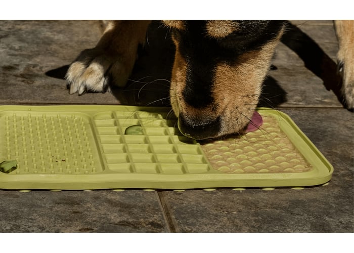 Büyük Boy Köpek Yalama Matı (Lickmat, 18 × 29cm) - Holidog