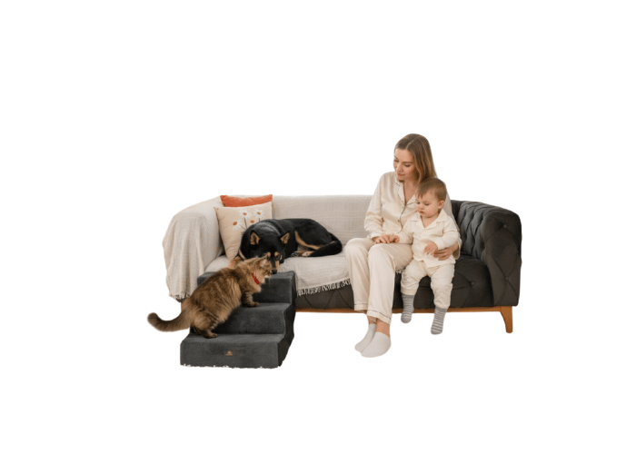 Holidog Ortopedik Yumuşak Basamaklı Fermuarlı Kedi ve Köpek Merdiveni (Siyah , M)