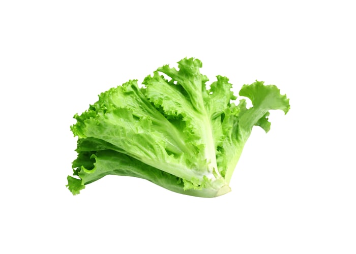 Marul (1adet) - Memleket Gurmesi