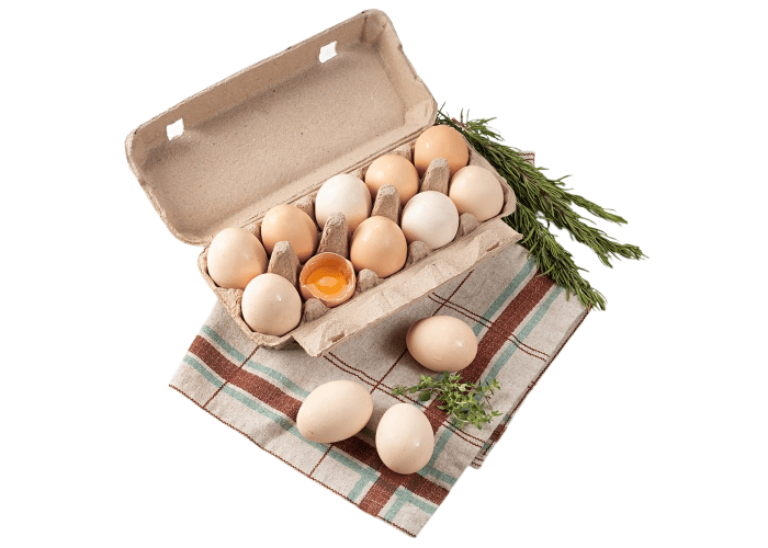 Organik Yumurta (10 adet) - Ece Organik