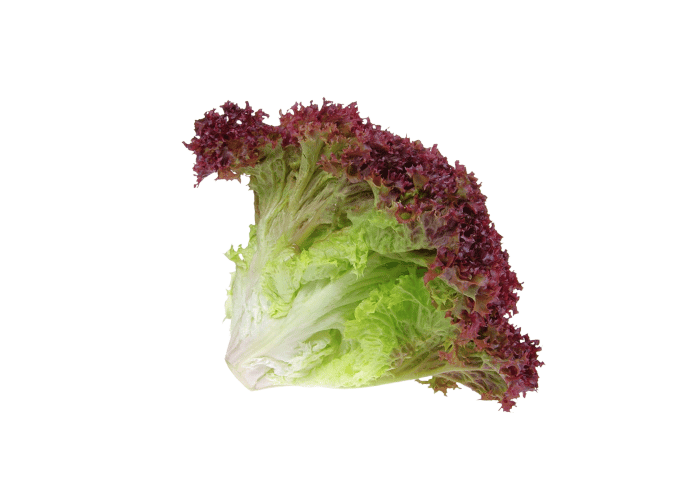 Lolorosso Akdeniz Marul (1 adet) - Memleket Gurmesi