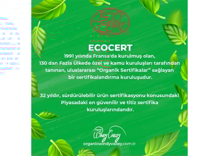 Organik Süzme Çam Balı (460gr) - Organic Windy Valley