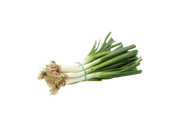 Taze Soğan (1 demet) - Memleket Gurmesi
