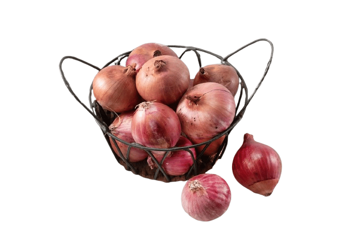 Organik Kırmızı Soğan (500gr)