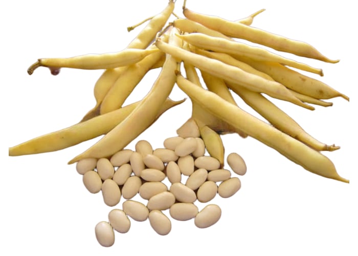 Taze Badalan Fasulye (500gr)