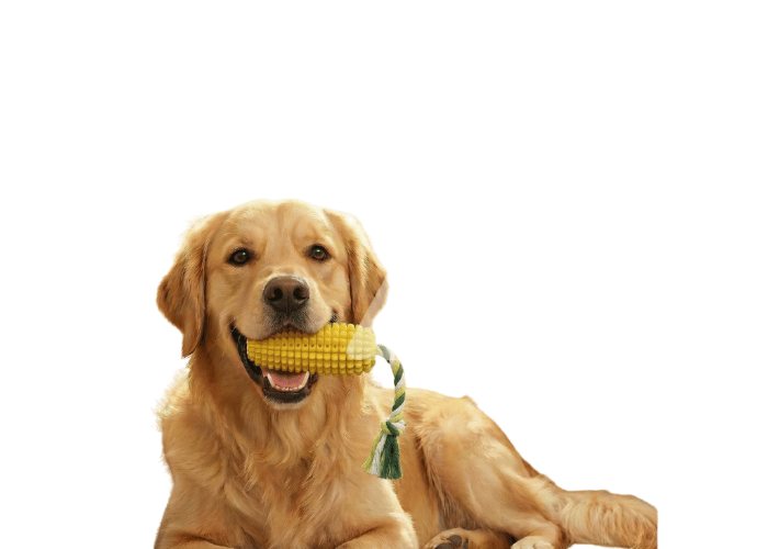 Holidog Köpek Diş Temizleme Oyuncağı (160gr)
