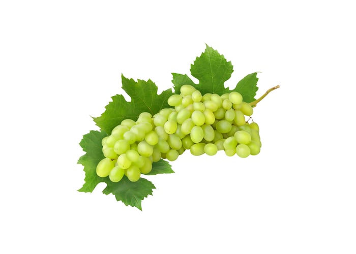 Üzüm (İzmir, 1kg) - Memleket Gurmesi