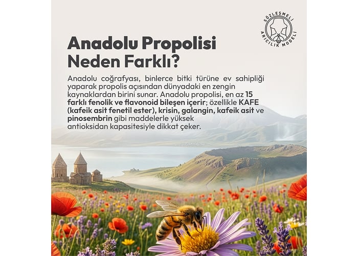 Damla Paketi, Suda Çözünür Damla (20ml, 2 adet), Propolis Damla (20ml, 1 adet) - Beeo