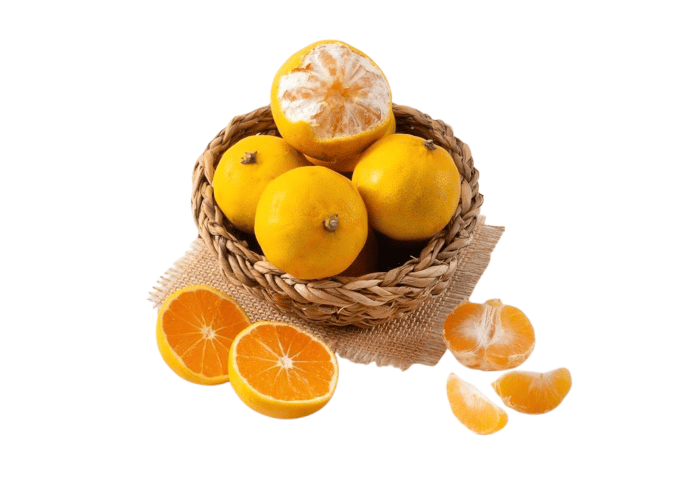 Organik Satsuma Mandalina (500gr)