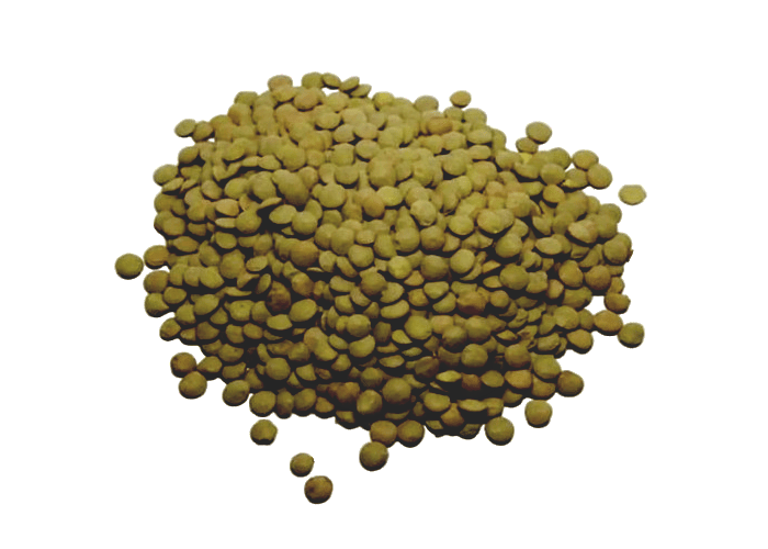 Yeşil Mercimek (1kg) - Nebyan Doğal