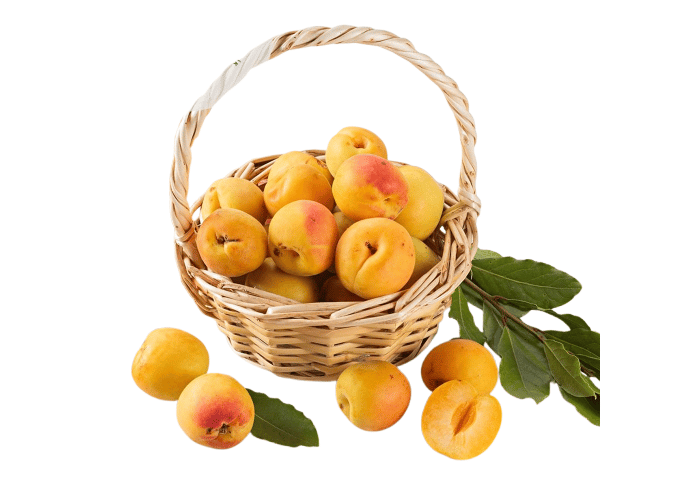Organik Kayısı (400gr)