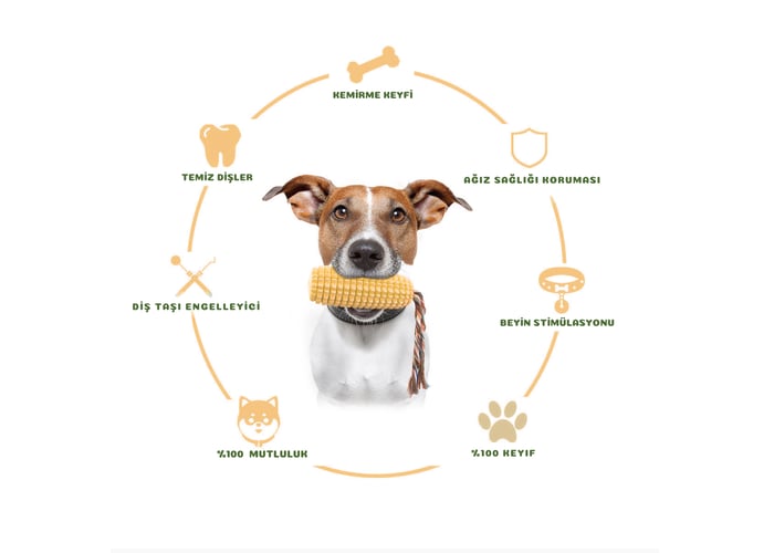 Köpek Diş Temizleme Oyuncağı (160gr) - Holidog