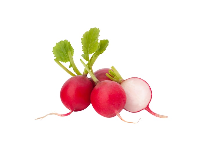 Turp (1kg) - Memleket Gurmesi