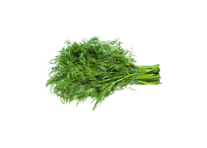 Dereotu (1 demet) - Memleket Gurmesi