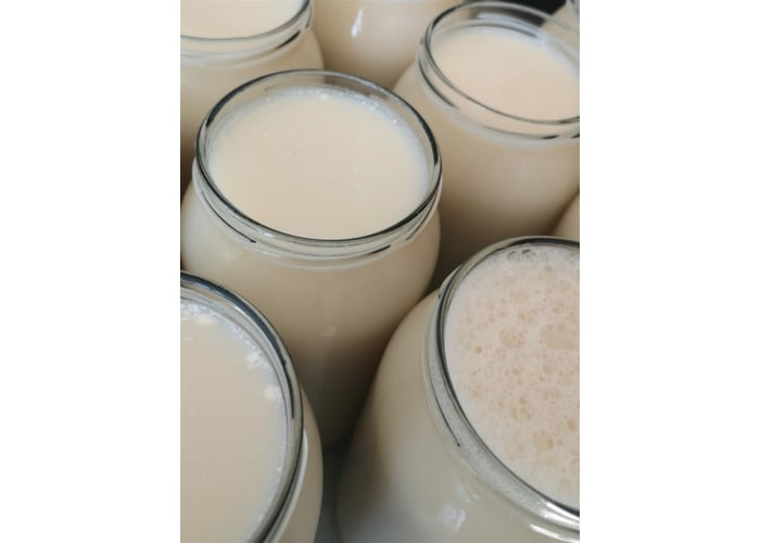 Buttermilk (1lt) - Elif Candar