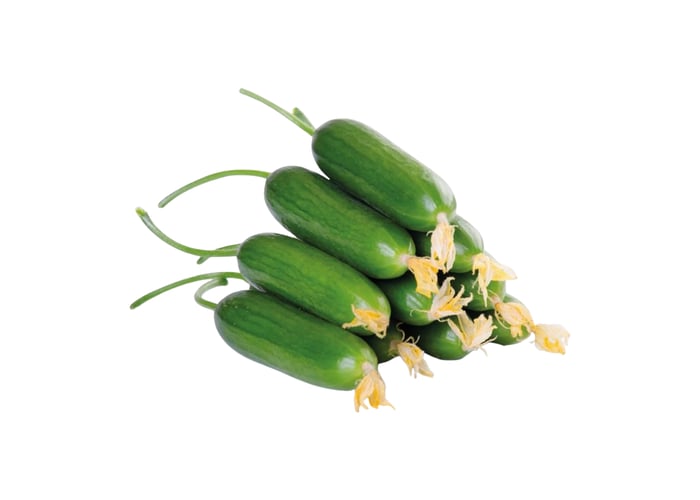 Badem Salatalık (1kg) - Memleket Gurmesi