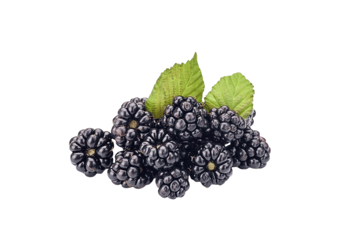 Datça Murat Çiftliği Yerli Böğürtlen (125gr)
