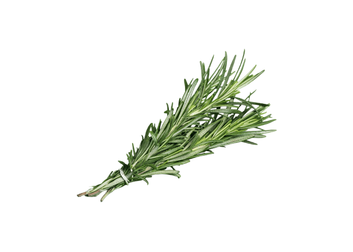 Biberiye (1 demet) - Memleket Gurmesi