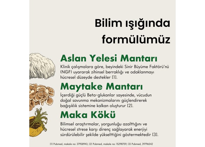 Fonksiyonel Mantar Takviyeli Ceremonial Grade Matcha (30 porsiyon, 135gr) - Mago Matcha