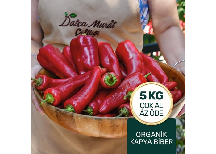 Organik Kapya Biber (5kg)