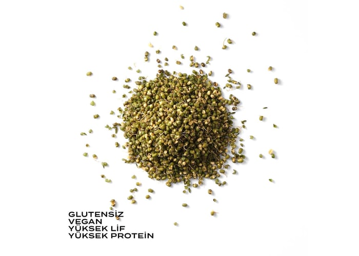 Filizlendirilmiş Maş Fasulyesi (175gr) - The Good Wild