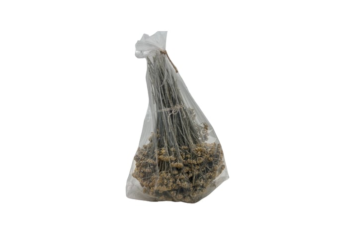 Civan Perçemi (1 demet) - Memleket Gurmesi