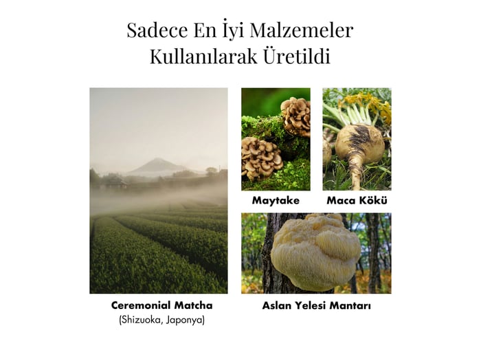 Fonksiyonel Mantar Takviyeli Ceremonial Grade Matcha (30 porsiyon, 135gr) - Mago Matcha